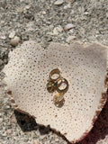 Sand Dolla Earrings